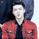 GREEN NATURE 2017 EXO <b>FAN</b> FESTIVAL 홍보영상