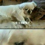 [댓글부탁해] 야 나 <b>레알</b> _됐다 어떡하지 ㅅ뷰ㅠㅠㅠㅠㅠ