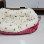 강아지 초보 <b>루비</b>엄마  급하게 물어볼게요ㅜㅜ