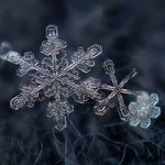 [EXO] 이제 여기 <b>눈송이</b> 컬렉션에 애들꺼 들어감 ❄️ ㅋㅋ