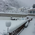 <b>한올</b>아잘지내고있니(2)