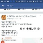 [드루와] 판<b>글</b> 다 퍼가는 <b>새</b>1끼 (페북