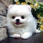 <b>짝</b><b>남</b> 또는 <b>짝</b><b>녀</b> 이름 모르는 애들 있니?