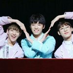 [세븐틴] 타팬인데...헐
