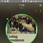 [세븐틴] <b>입스</b>밍은 안타까운척 하지마라
