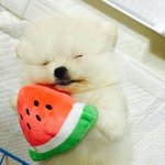 [드루와] 아 진짜 오빠란<b>말</b> 너무 싫음....