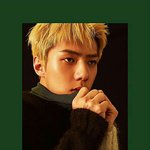 [EXO] ㅆㅂ 내일 ㅈㄴ <b>발랄</b>한 컨셉이면 지리는거다..