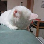 [댓글부탁해] 다들 역대급으로 못 본 <b>점수</b>가 몇점이야??