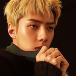 [EXO] 채색녀 세훈이 오줌필터 뺌 <b>비포</b> 애프터