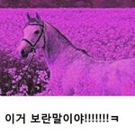 [댓글부탁해] 한국사능력<b>검정</b>시험 말이야
