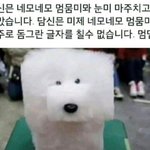 [EXO] <b>민희진</b>: