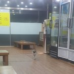 뻔뻔냥의 겨울나기