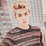 [EXO] 시그 갠포랑 미니등신대 후니나옴ㅜㅜㅅㅂ