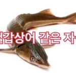 [EXO] 얘들아 싸우지 말고 뮤비 스밍이나 돌려