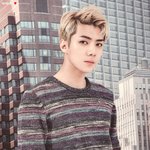 [세훈] 2017 시즌그리팅 스캔본