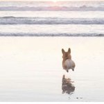 얘들아 머리 감아도 <b>비듬</b>이 많으면 어떻게해??