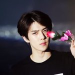 [EXO] 진짜 저 꽃으로 <b>후두</b>려 맞고싶은 심정...