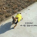 [동행세상] 보호소에서 태어난 <b>돌돌</b>이