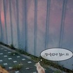 인천,경기)(예쁘다는 위로댓글 <b>대환영</b>)매력적인 크림코트를 장착한...