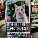 [EXO] 니네 고양이 좋아하냐