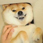 김고은 닮았다는거 욕이야 <b>칭찬</b>이야?