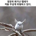 [댓글부탁해] 학교폭력 방관자가 되지 말라는거..