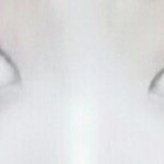 <b>쌍수</b>..!!