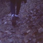 [EXO] 뭔가 보호<b>본능</b> 일으킴