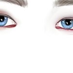 [EXO] 하룽 또 왔다