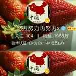 [EXO] 밥씽이 방송 3사 연말 가요제 다 <b>불참</b>