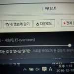 [세븐틴] 나 검은분홍 <b>점수</b>만 유심히 봐서 그런대