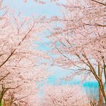 [댓글부탁해] 있잖아 <b>미리</b> 생일축하해주는거