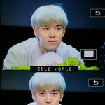 [BAP] <b>잔디밭</b>위의 멈무이