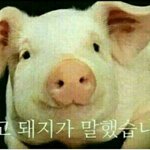 생리전에<b>증상</b>이이럼?