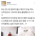 [시우민] 시우민과 같이 사진찍은 고양이가 유기묘였대