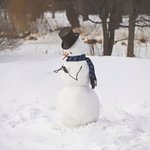 흔치 않은 <b>이색</b> 눈사람 모음