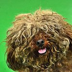 추운 <b>겨울날</b> 버림받았지만  씩씩하게 웃음을 나눠주던 아리..