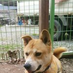 [<b>동행</b>세상] 한식구가 팔려갑니다.