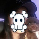 [강아지] <b>역변</b>한 우리 곰돌이 2탄