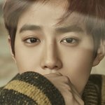 [EXO] 준면이눈 <b>인라인</b>이냐?
