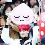 [세븐틴] 단언컨대 이건 <b>서명</b>호 레전드짤임