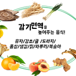 [펌] <b>겨울철</b> 면역력을 높여주는 음식