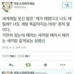 이거내가잘못한거야?