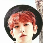 [EXO] 시그 배경화면 만들었음