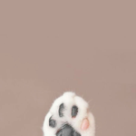 [드루와] 빅뱅vs 엑소?