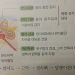 [댓글부탁해] 나만이거 음마낌??