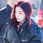 [레드벨벳] 애들 홈마들 총 모음 (트위2터 아이디)