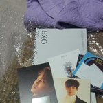 [EXO] 와 ㅅㅂ <b>지뢰</b>피함 감사합니다 ㅅㅂ 열심히살게여