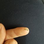 [댓글부탁해] 롯데 그린초<b>코코</b>에서 이상한거 나옴