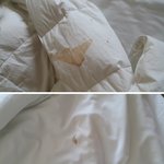 <b>CJ</b>월디스 (CJworldis) 여행사 이용해서 피해 당했습니다...